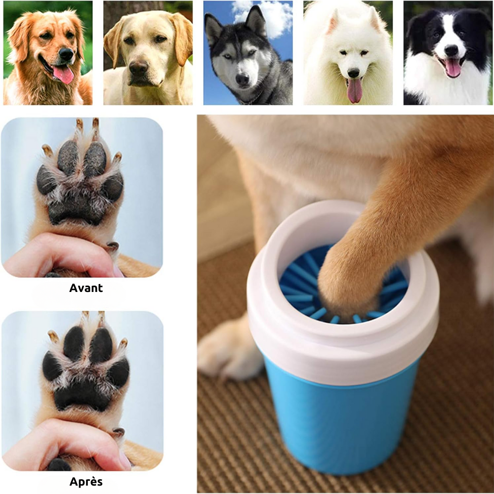 CleanPattes